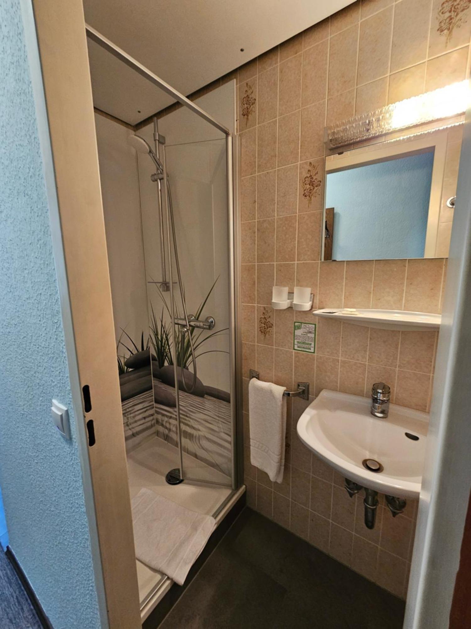 Hotel & Restaurant Krone Rehau Zewnętrze zdjęcie